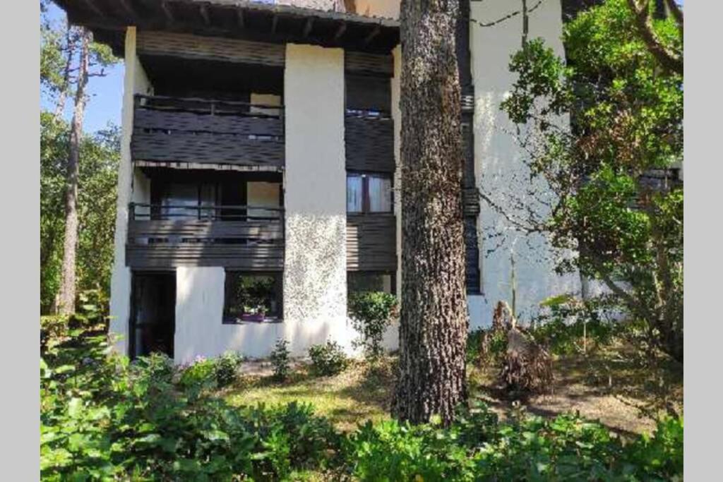 Appt Seignosse Le Penon - Plages Commerces A Pied Exterior photo