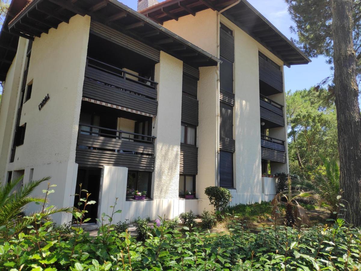 Appt Seignosse Le Penon - Plages Commerces A Pied Exterior photo